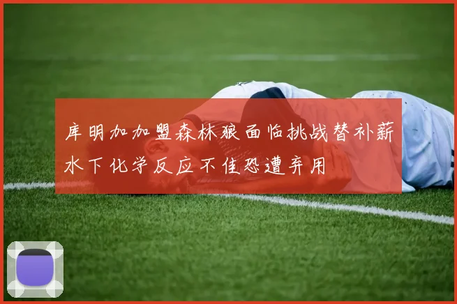 库明加加盟森林狼面临挑战替补薪水下化学反应不佳恐遭弃用