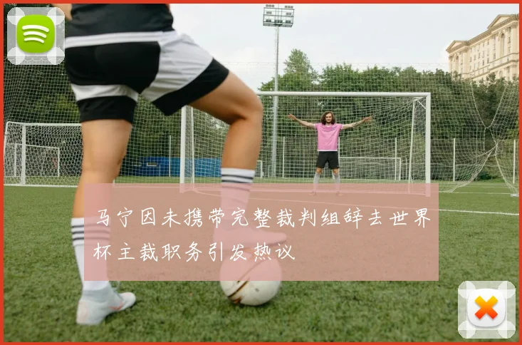 马宁因未携带完整裁判组辞去世界杯主裁职务引发热议